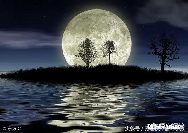 为什么有些人认为牺牲生命换取金钱能让家人更幸福