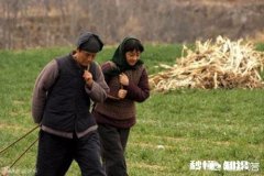 为什么有些人认为牺牲生命换取金钱能让家人更幸福