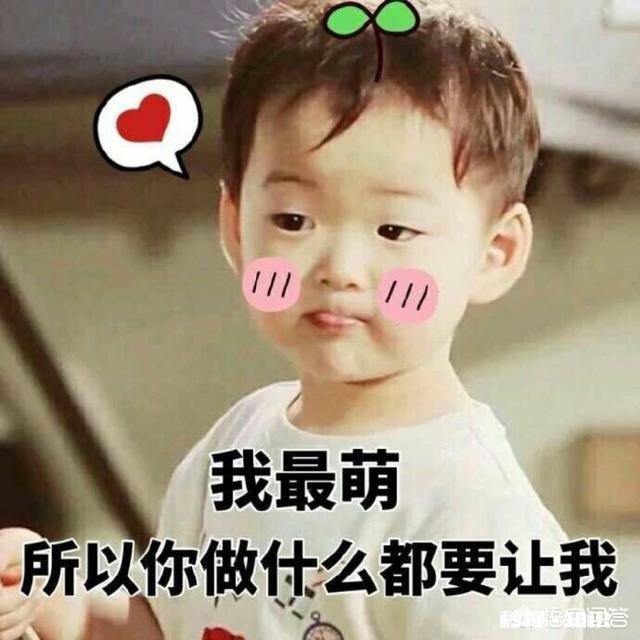 如何评价宋民国