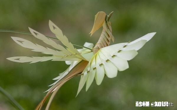 美轮美奂的民间手工艺术品。除了给人美的享受外，还带给人们什么启示