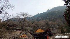 特别好的朋友找你借钱，借钱原因是他要帮他要好的朋友还高利贷，换做是你会不会借