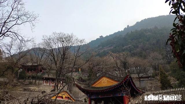 特别好的朋友找你借钱，借钱原因是他要帮他要好的朋友还高利贷，换做是你会不会借