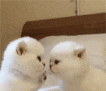 为什么不管是微信还是qq，有些人明明已经看到消息了，却还要等几分钟再回复