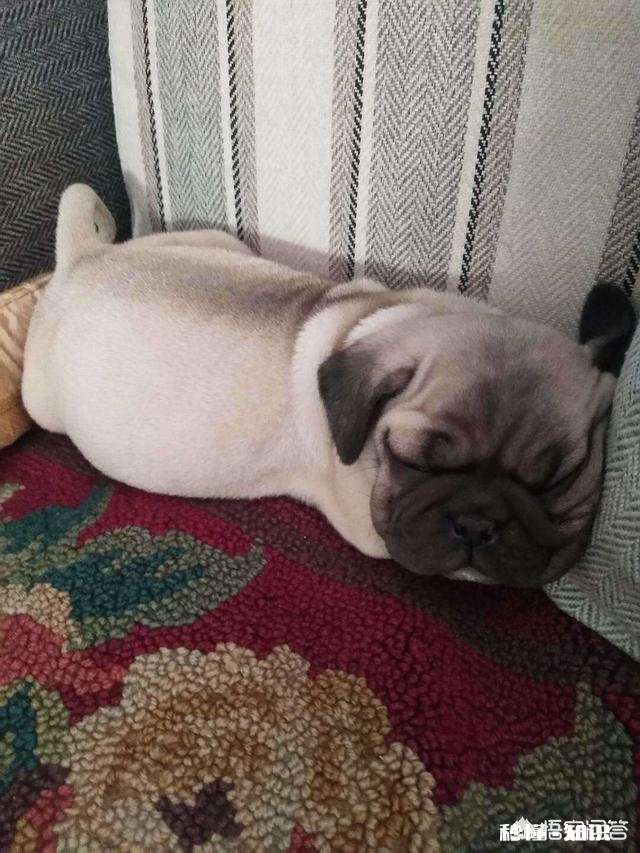 双十一快来了，你都买过哪些奇葩商品