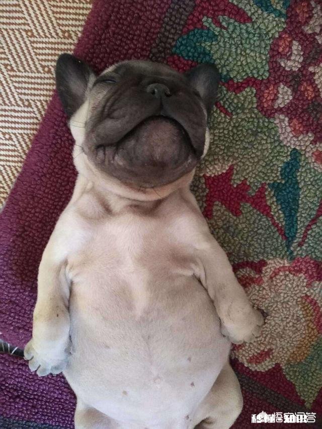 双十一快来了，你都买过哪些奇葩商品