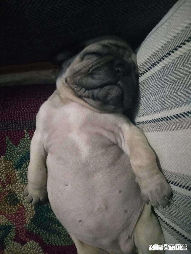 双十一快来了，你都买过哪些奇葩商品