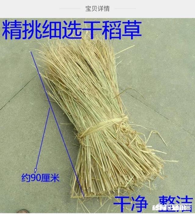 双十一快来了，你都买过哪些奇葩商品