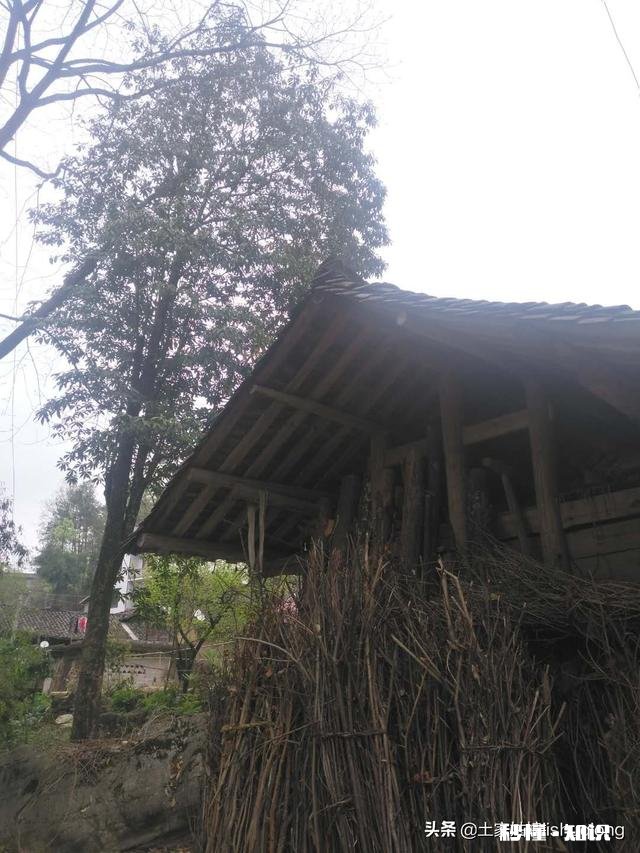 农村孩子,在家没啥事儿!有一辆轿车不跑滴滴,还可以干啥嘞