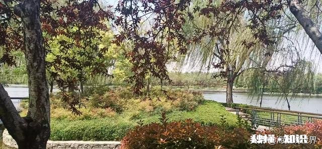 今年对旅业人来说都是最大的打击，业务低迷，何去何从