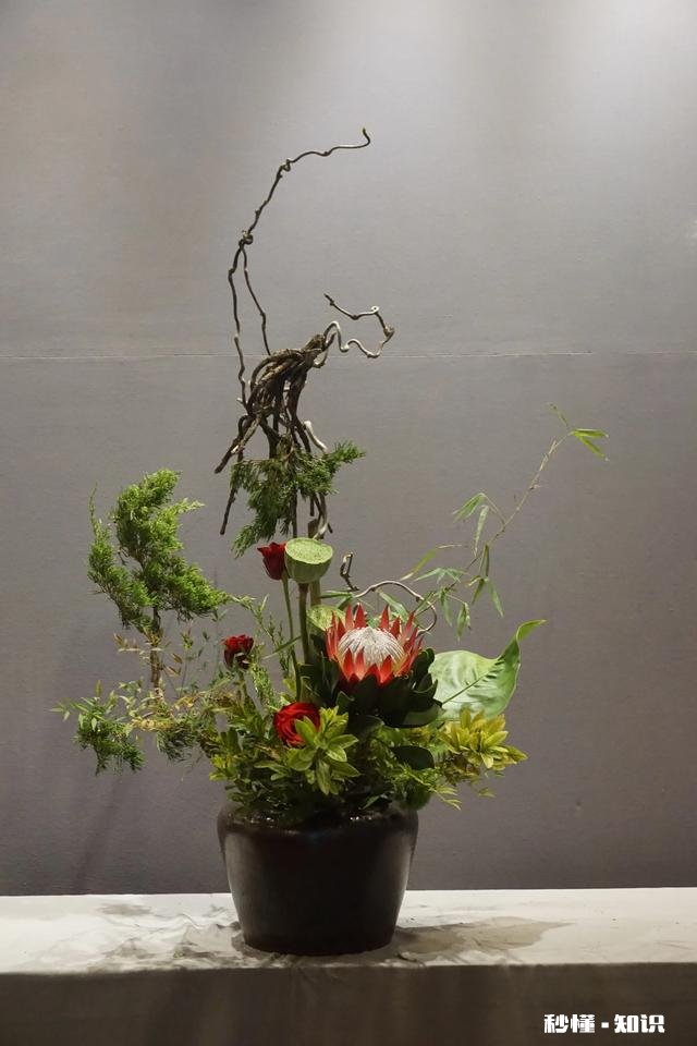 为什么有些人喜欢插花