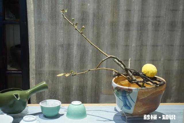 为什么有些人喜欢插花