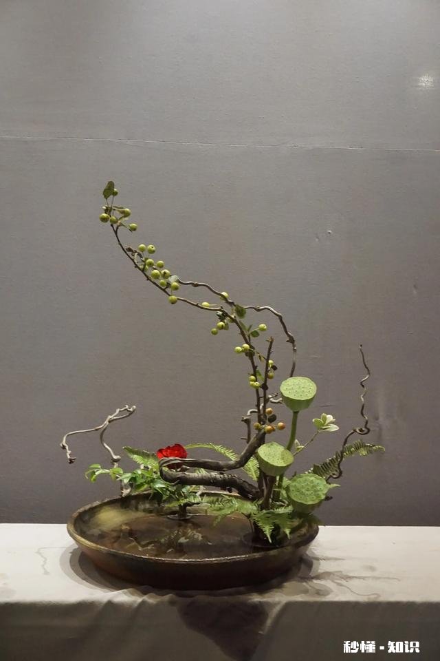 为什么有些人喜欢插花