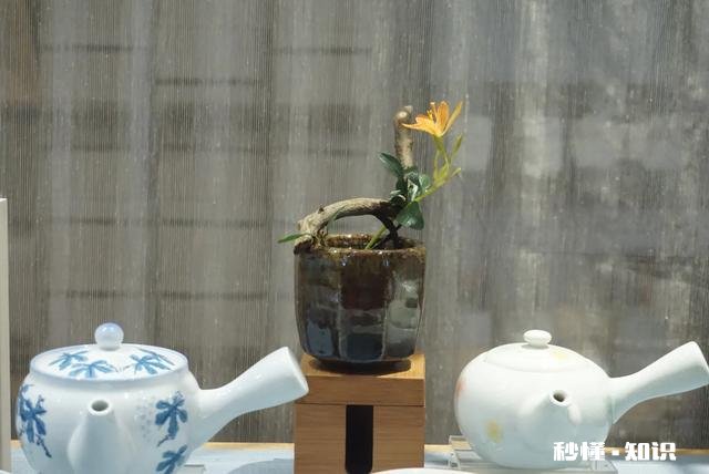 为什么有些人喜欢插花