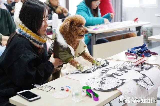 怀孕后，你们把狗狗送走了吗