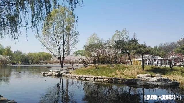 小调查：在各种文体当中，你对诗词的喜欢度排第几，为什么