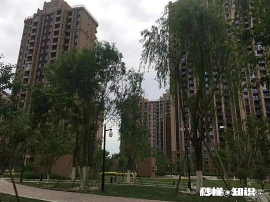 2020东北县城房价4000多能入手吗，短期内会不会降价