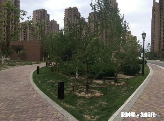 2020东北县城房价4000多能入手吗，短期内会不会降价