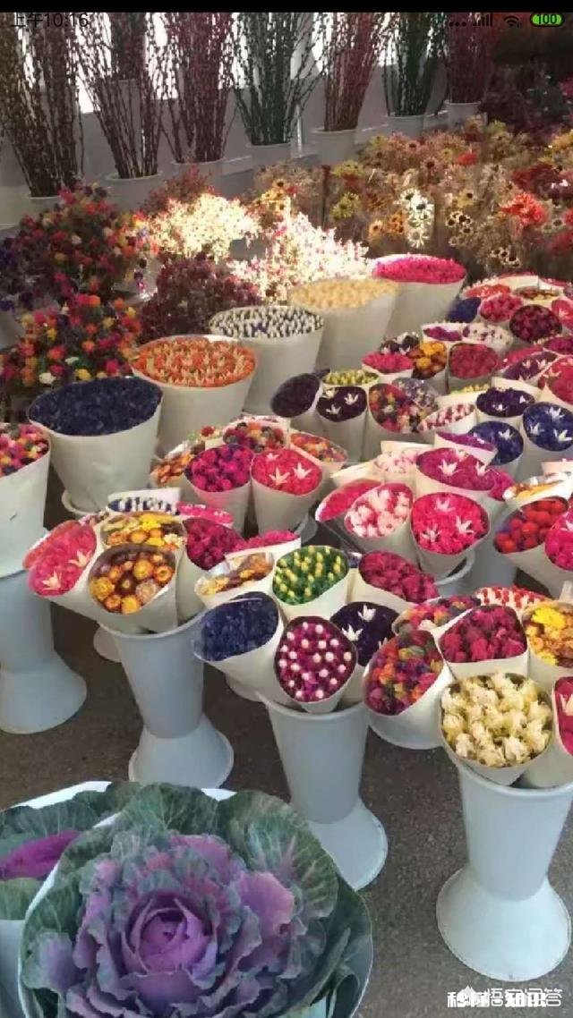 自媒体创作每次写完只有几十推荐量，真的有必要坚持下去吗