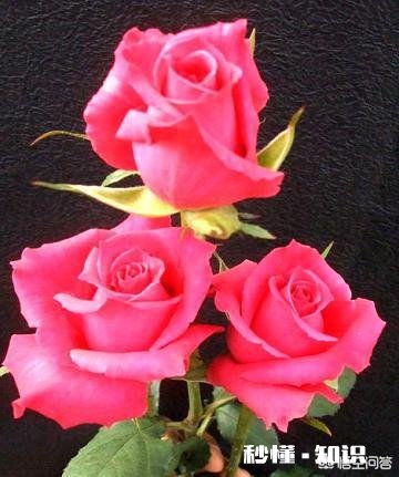 自媒体创作每次写完只有几十推荐量，真的有必要坚持下去吗