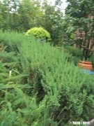 十八层我买十层怎么样啊