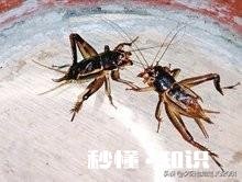 有多少人记得自己梦里的细节