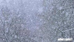 千树万树梨花开中的梨花，其实说的不是梨花，是雪花。这一说法是否属实为什么