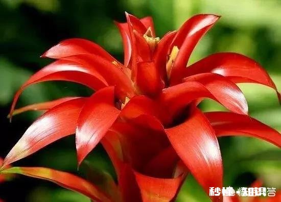 年后大家有找工作吗现在找工作难吗