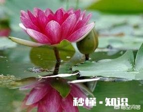 年后大家有找工作吗现在找工作难吗