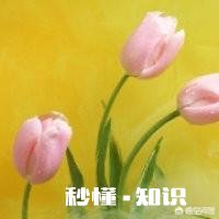 年后大家有找工作吗现在找工作难吗