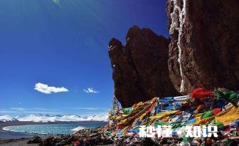 西藏旅游行程怎么安排