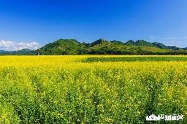 吉林省有哪些避暑好去处