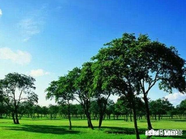 吉林省有哪些避暑好去处