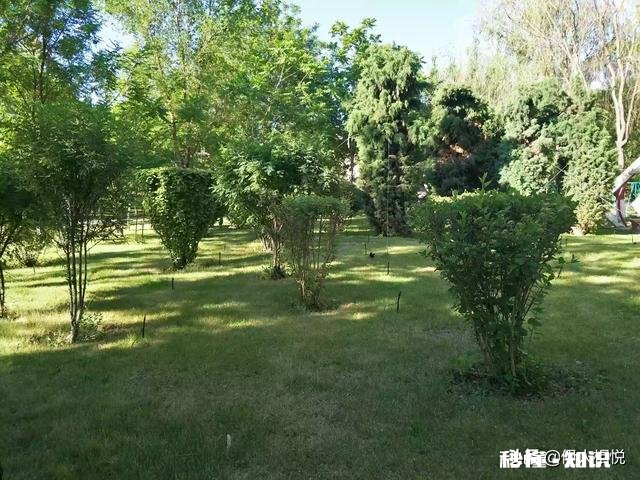 在游山玩水的旅途中，如何最大限度地保护自然环境