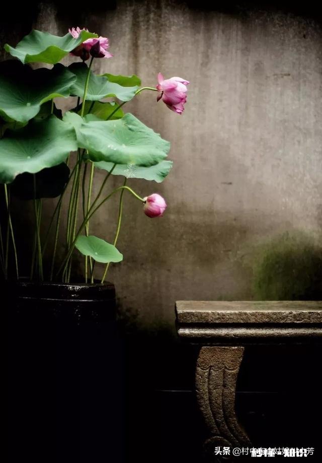 在游山玩水的旅途中，如何最大限度地保护自然环境