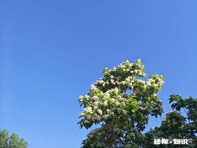 在游山玩水的旅途中，如何最大限度地保护自然环境