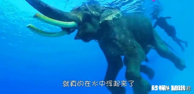《海贼王》905集,旱灾杰克是能力者已经沉入海底,为什么还能复活回到和之国