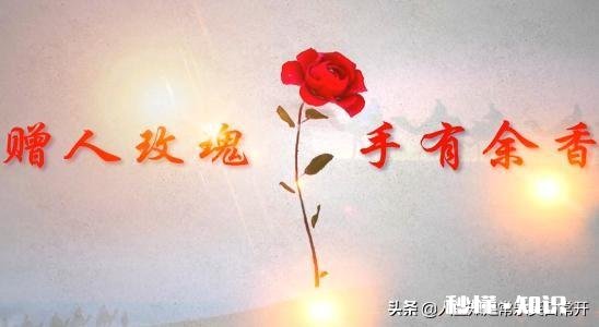 你会去帮助一个陌生人吗为什么