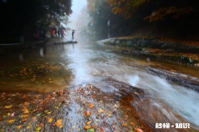 城市职业女性和农村家庭妇女谁更有幸福感