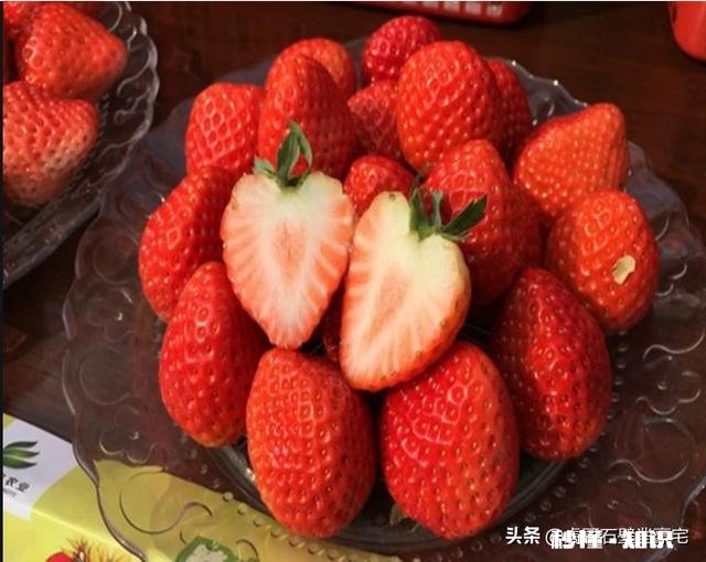 草莓开花后多久结果，需要注意些什么花骨朵多了需要掐掉些吗