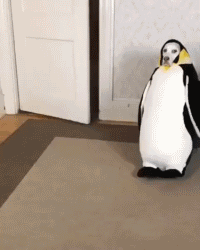 你认为最搞笑的gif动态图是哪个