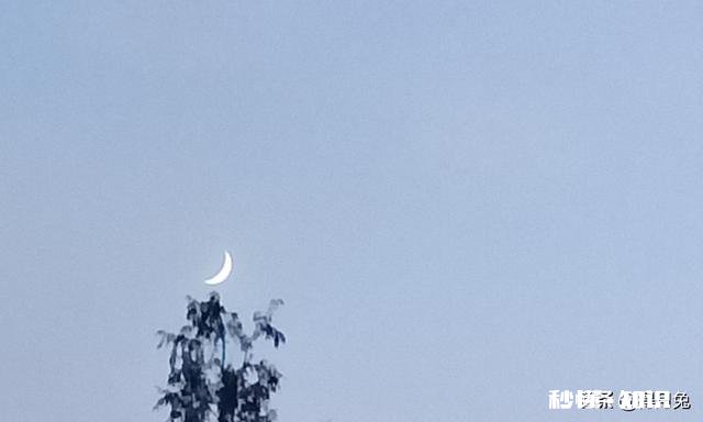 请问你们的华为手机怎么拍月亮的