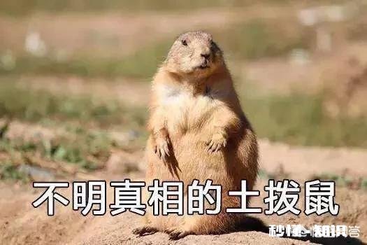 以前的国外译制片里有哪一部是给你带来最多快乐的