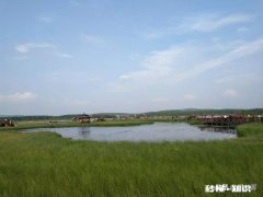 人生匆匆，为何而来又为何而往