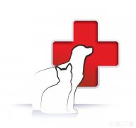 你觉得应该取缔宠物行业吗为什么