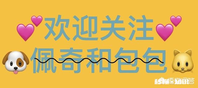 你觉得应该取缔宠物行业吗为什么