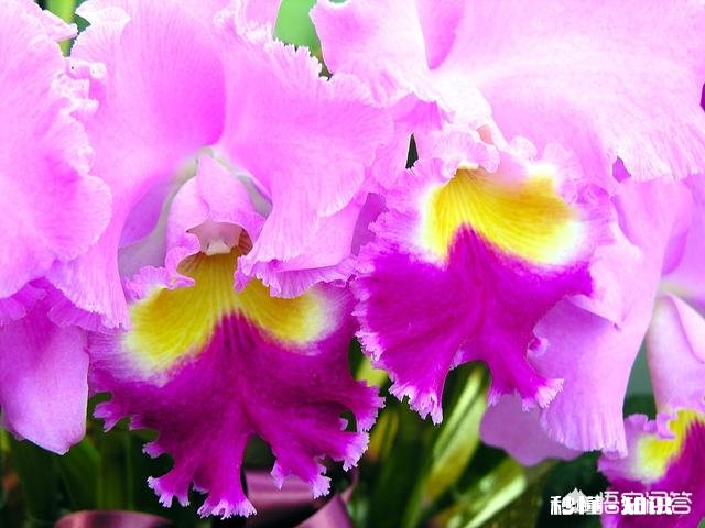 儿童腹泻是哪些原因造成的呢