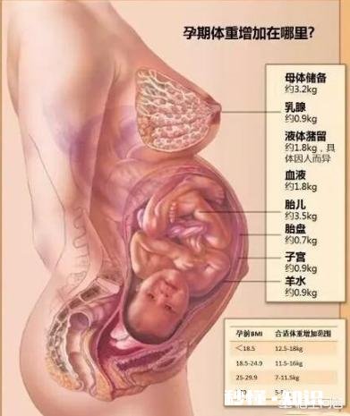 生完孩子之后，产妇体重掉多少斤才算正常