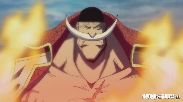 如果艾斯没死,现在的实力会是怎样的高度