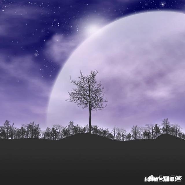 为什么讲事实摆道理的安慰，远不及别人轻描淡写地站在你立场空唠两句