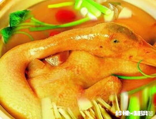 为什么有人高价收老母鸭